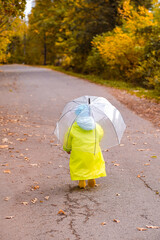 A small child in a yellow raincoat walking away holding a transparent umbrella on a wet autumn road with fallen leaves. Rainy season outdoor stroll concept.