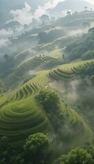 Aerial view rice terraces 