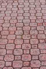 red brick pavers