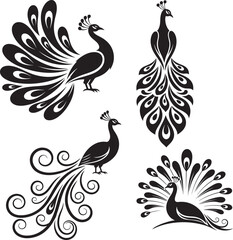 Peacock logo. Isolated peacock on white background