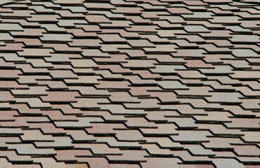 Asphalt roof shingles