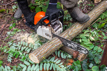 Close-up of a chainsaw cutting a log on the ground surrounded by fallen leaves and branches