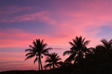 Obraz premium Behold the stunning tropical sunset that features vibrant pink skies and the beautiful silhouettes of palm trees