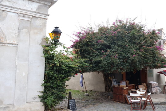 street in the village