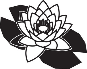 Fototapeta premium Black and white water lily with leaves flower bloom