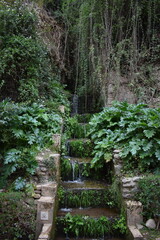 Obraz premium stairway to the forest