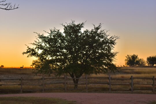 sunrise in the countryside