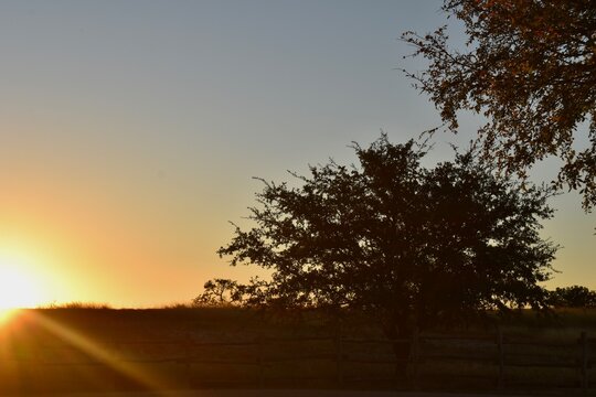 sunset in the morning