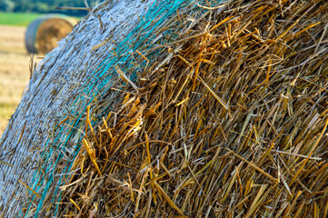 Close-up view of a large straw bale in a sunny rural field surrounded by nature, capturing the...