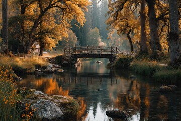 Autumn serenity small bridge over a reflective river in tranquil nature landscape documentary photography perspective