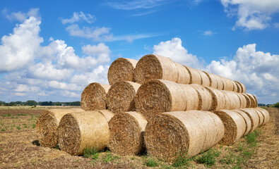 Hay bales against the sky.