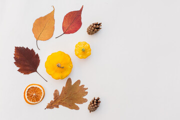 Autumn holiday frame composition with pattern made of leaf, punpkins, dried orange, pine cone on...