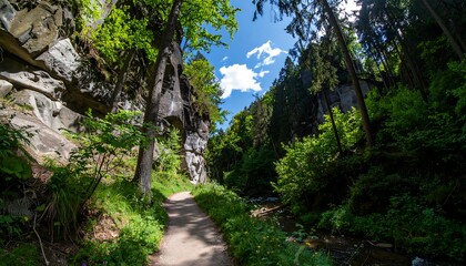 Hiking trail through a rocky gorge