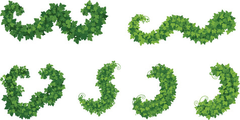 Curly Ivy Vine Vector Collection – Green Climbing Plant Elements in Twisting Shapes for Nature Borders, Garden Design, Floral Frames, and Botanical Art