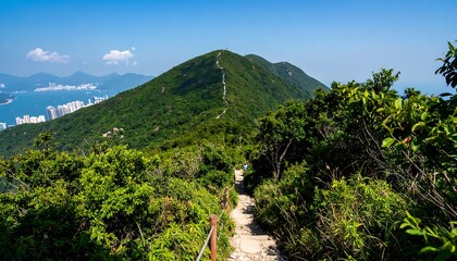 Hiking trail through lush mountain