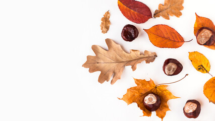 Autumn holiday frame composition with dry leafs and chestnuts on white backround. Creative layout pattern, Thanksgiving day flat lay, Halloween. Eco zero waste concept. Top view, place for text banner