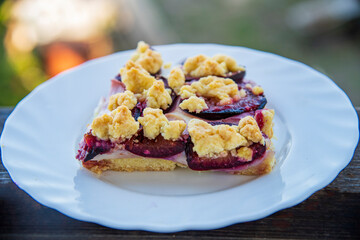 Delicious cake with plums on the table