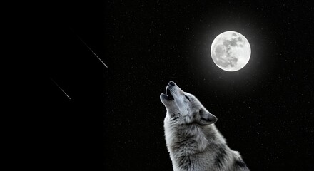 Wolf howling at full moon night sky