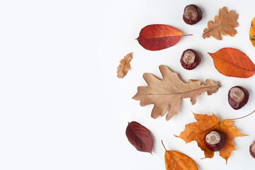 Autumn holiday frame composition with dry leafs and chestnuts on white backround. Creative layout...