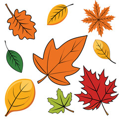 Obraz premium Autumn leaves collection with colorful maple oak and birch foliage in a decorative vector set