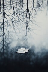 White leaf with ripples and soft tree reflections