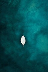 Centered white leaf on deep teal water