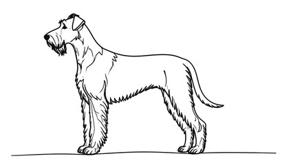 Side view of a well-detailed illustration of a Wirehaired pointing griffon dog, showcasing its distinctive features and coat.