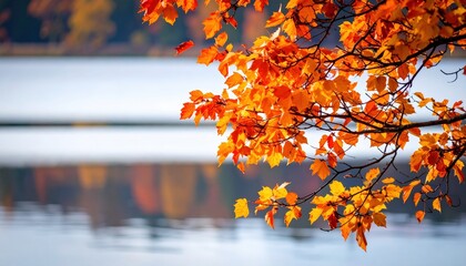 "Autumn on the seashore, tree branches with orange and yellow leaves blown by the wind. The sea in the background, calm with gentle waves, soft sunset light. Warm autumn hues in the foreground