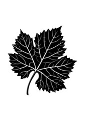 Detailed Silhouette of a Maple Leaf