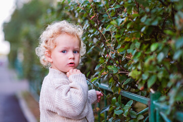 A child with blonde curly hair and blue eyes stands outdoors near a green bushy fence. Innocence...