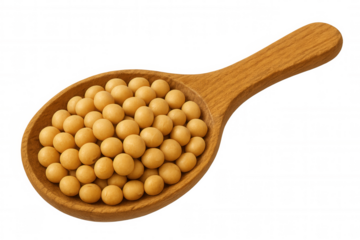 Soybeans resting in wooden spoon, isolated on transparent background, ready for use in various food and industrial products