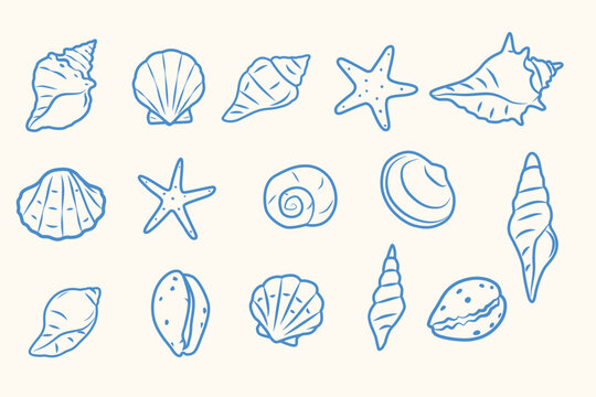 Set  seashells Hand drawn  vector logo isolated on white background.