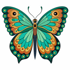 butterfly vector illustration
