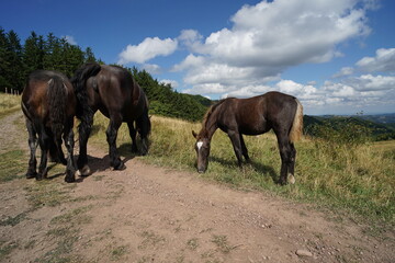 Góry Kamienne © Strumyk