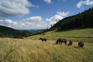Góry Kamienne © Strumyk