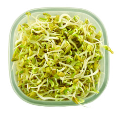 fresh organic sprouted mung beans in bowl, top view, cutout in transparent background, png format