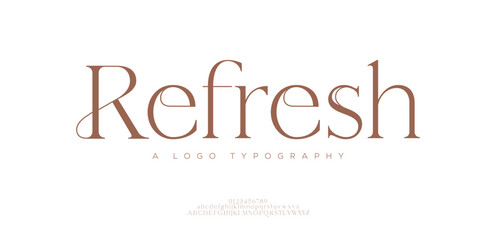Elegant Font Uppercase Lowercase And Number. Classic Lettering Minimal Fashion Designs. Typography modern serif fonts regular decorative vintage concept. vector illustration
