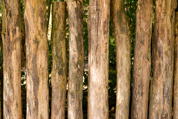 Horizontal wooden planks with visible grain and weathered marks, ideal for rustic design or natural backgrounds