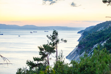 Port of Novorossiysk at sunset. Ships in port roadstead. In foreground rocky cliff and Pitsunda pine. In background Caucasus Mountains.