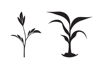 Two silhouetted plants growing from the ground