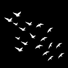 Dynamic flock of birds soaring freely, symbolic of hope, freedom, and migration, ideal for nature, travel and minimalist designs