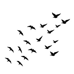 Freedom soars with a flock of birds in flight, perfect for spiritual themes, nature designs, or minimalistic art projects that need a touch of grace