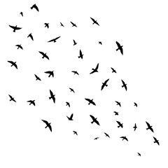 Dynamic flock of birds soaring together, perfect for freedom, migration, or nature themes in modern designs, originally created as a scalable graphic