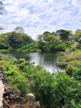 Mzima Springs in Kenya 