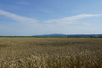 poland, lower silesia, sleza, mountains, gory bystrzyckie, summer, swidnica, village, summer