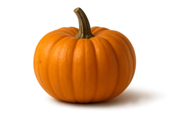 Natural side angle of a fresh orange pumpkin with curved stem on white background