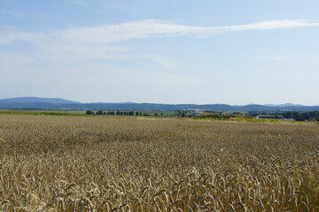 poland, lower silesia, sleza, mountains, gory bystrzyckie, summer, swidnica, village, summer