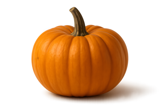 Natural side angle of a fresh orange pumpkin with curved stem on white background