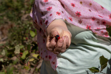 the girl in the park