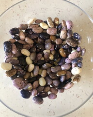 Various types of beans are arranged in a glass bowl, showcasing an array of colors and textures. The bowl sits on a light countertop under natural light, highlighting the beans' unique patterns